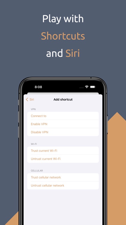 Passepartout, VPN Client