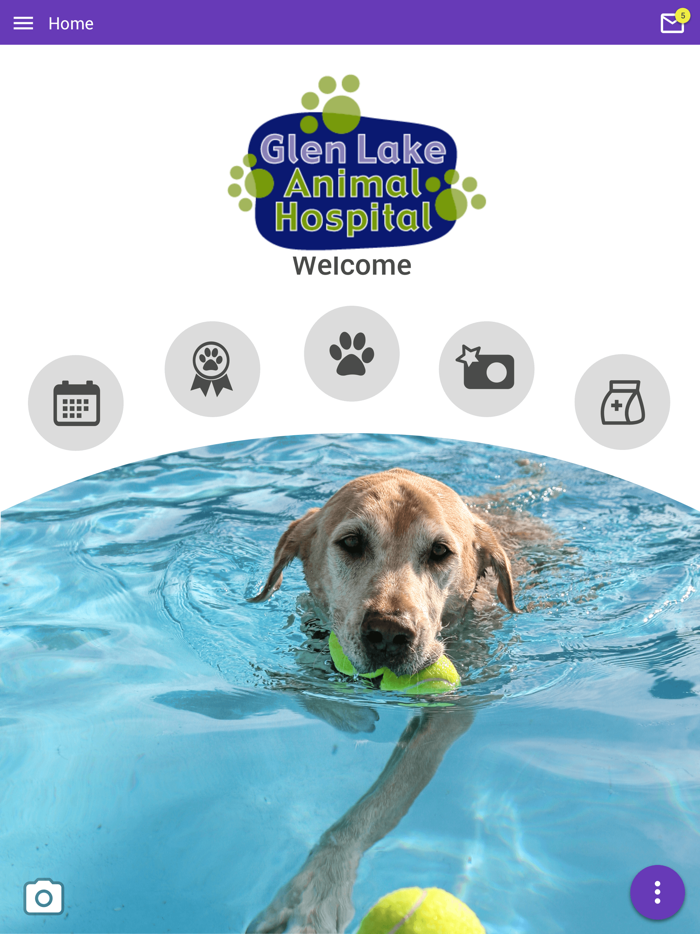 Glen Lake Animal Hospital