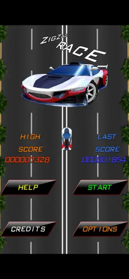 Game screenshot ZigZag Racing mod apk