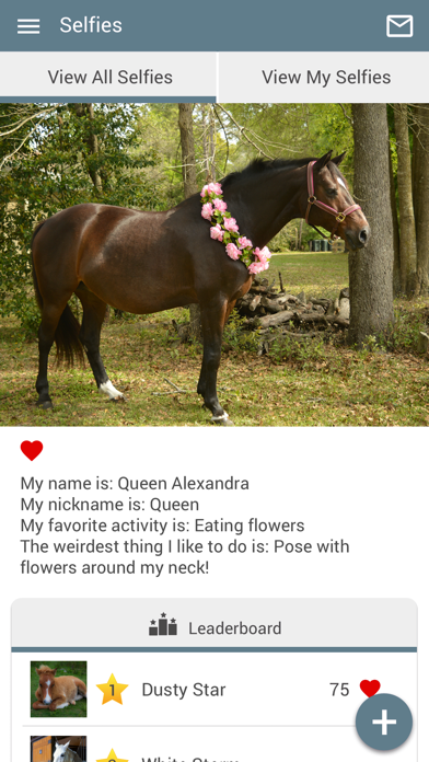 Waller Equine Screenshot
