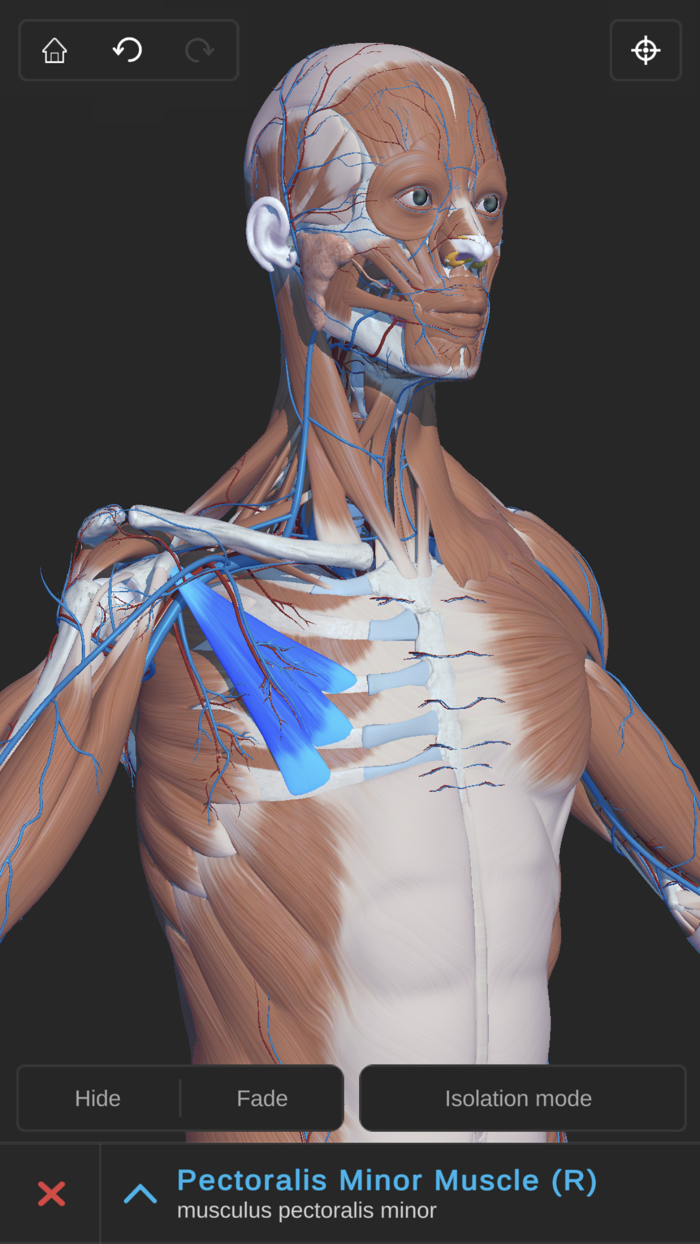 Visual Anatomy 3D - Human