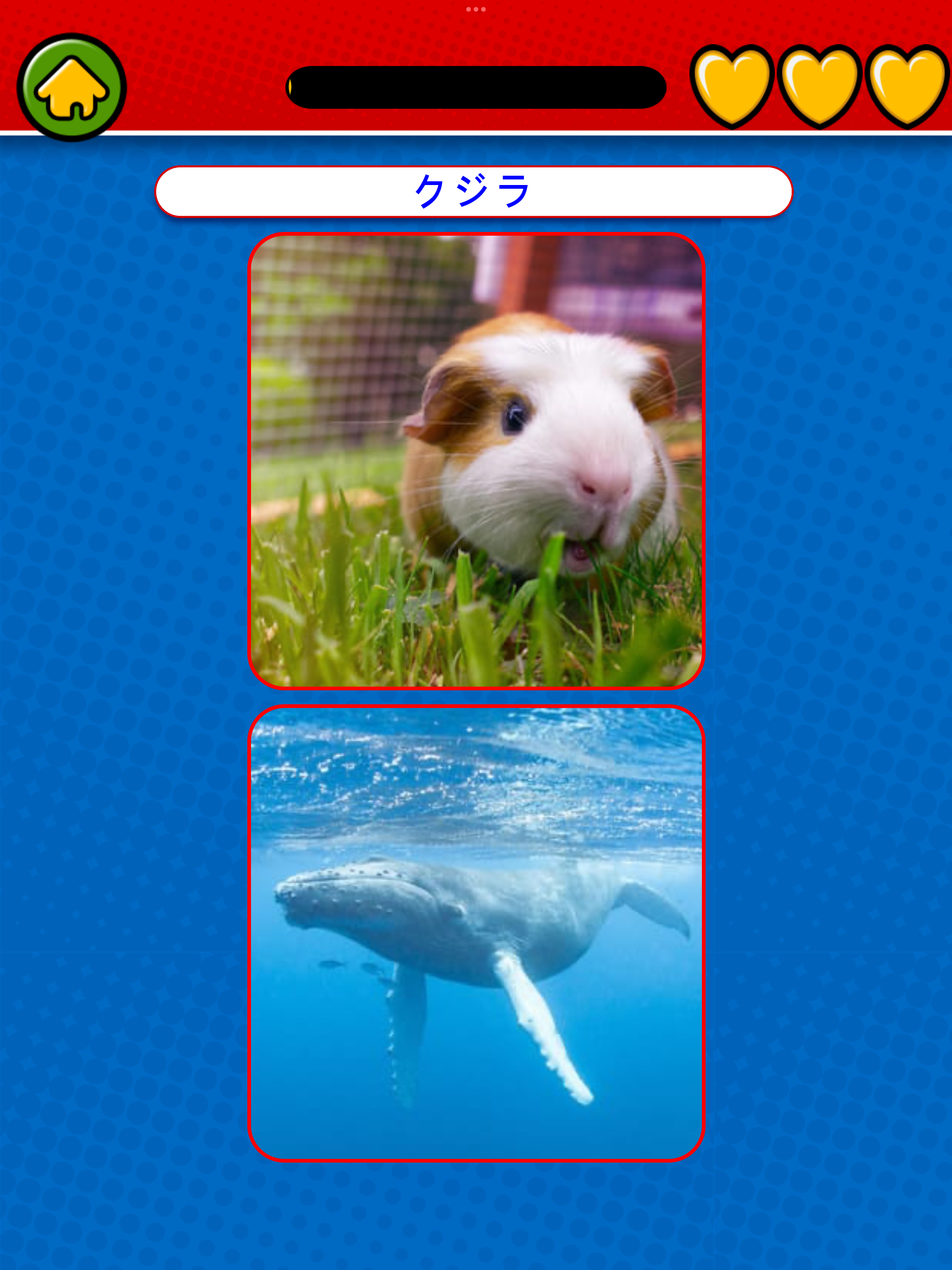 Game to learn Japanese screenshot 10