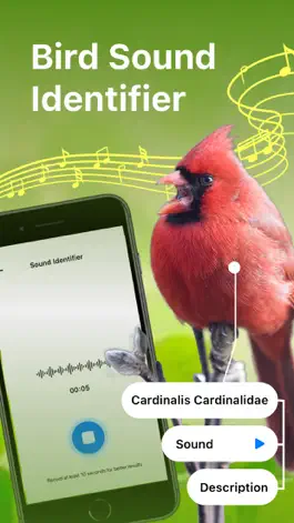 Game screenshot Bird Song Identifier Sounds ID mod apk