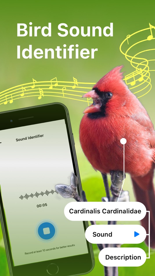 #1. Bird Song Identifier Sounds ID (iOS) 由: Trang Vu Huyen
