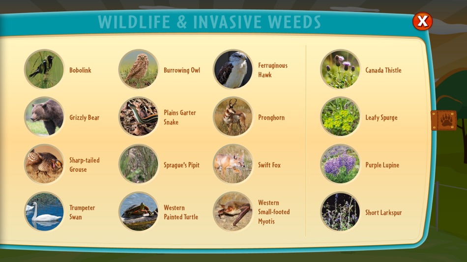 #3. Guardians of the Grasslands AB (iOS) بواسطة: Daila Duford