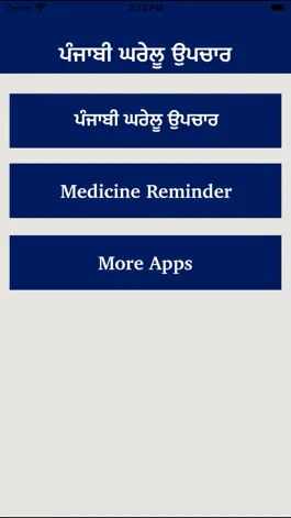 Game screenshot Punjabi Home Remedies Guide mod apk