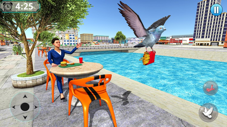 Pigeon Bird Flying Game Sim 3D