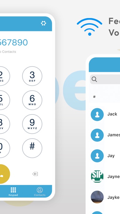 Voiper Tec Screenshot