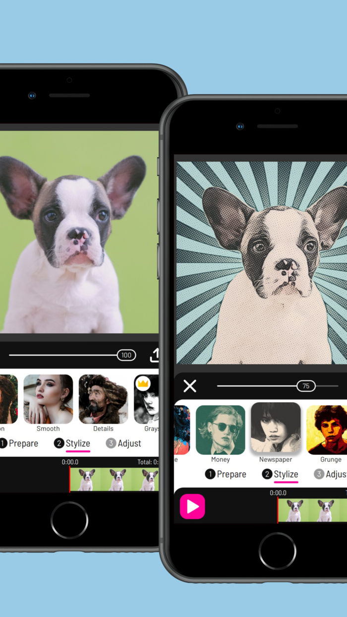 Toonita Video Pop Art Filters