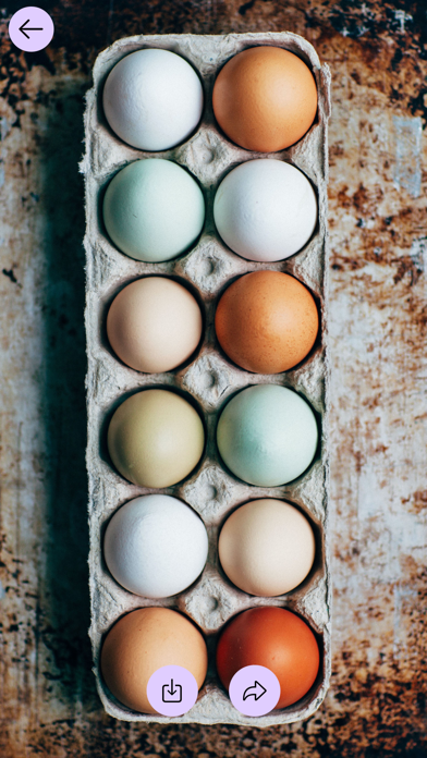 Easter Wallpapers 2025 Screenshot