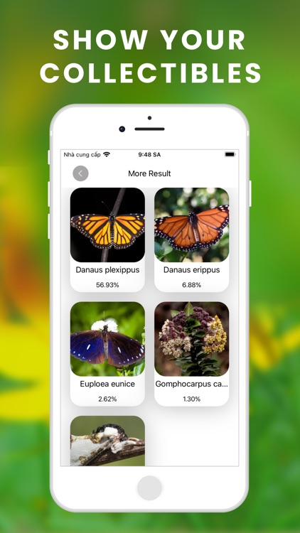 What bug is this Identify bugs screenshot-4