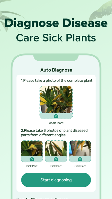 PlantNow-Plant Identification Screenshot