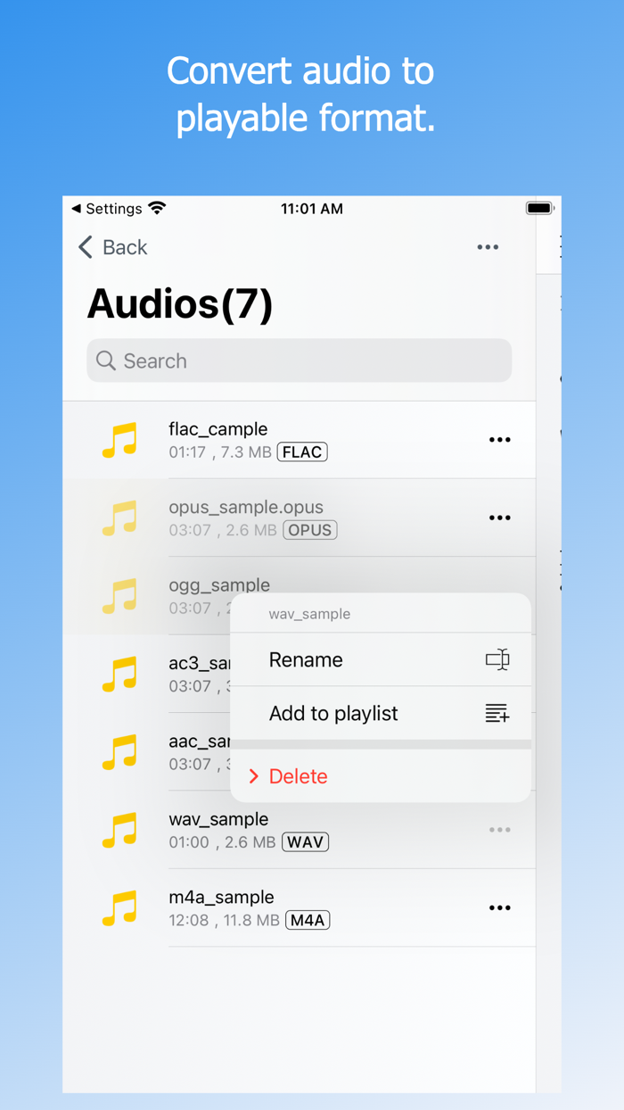 Video Storage-Conv-PIP - Doda