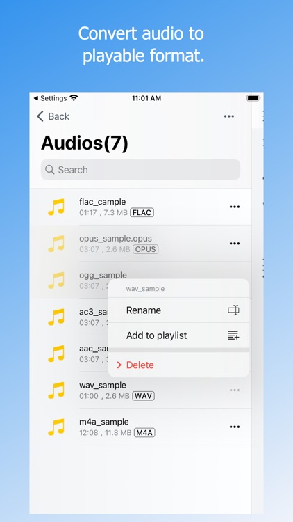 Video Storage/Conv/PIP - Doda+