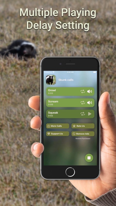 Hunting Calls: Skunk Screenshot