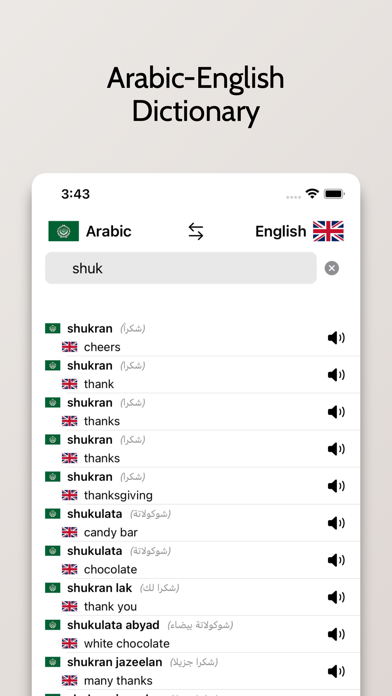 Arabic/English Dictionary Screenshot