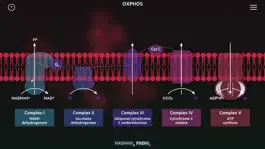 Game screenshot BiochemCity hack