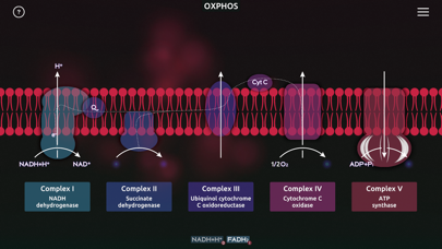 BiochemCity Screenshot