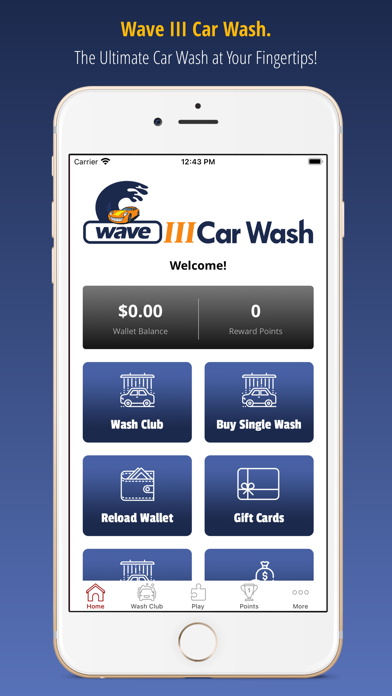 Wave III Car Wash Screenshot