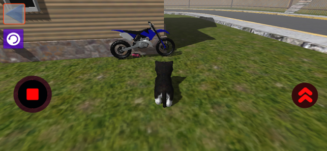 ‎KittyZ: Cat Simulator, ride Screenshot