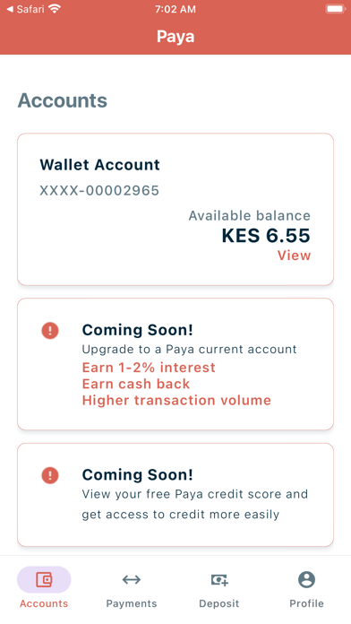 Paya Finance Screenshot