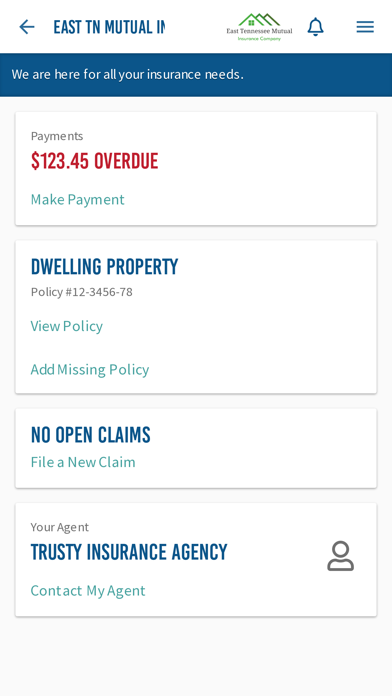 East Tennessee Mutual Ins Screenshot