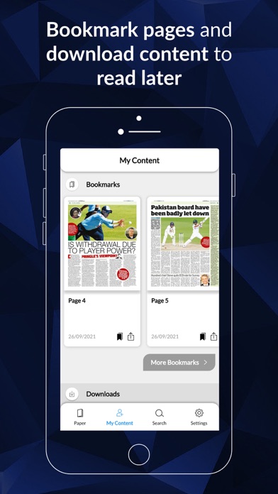 The Cricket Paper Screenshot