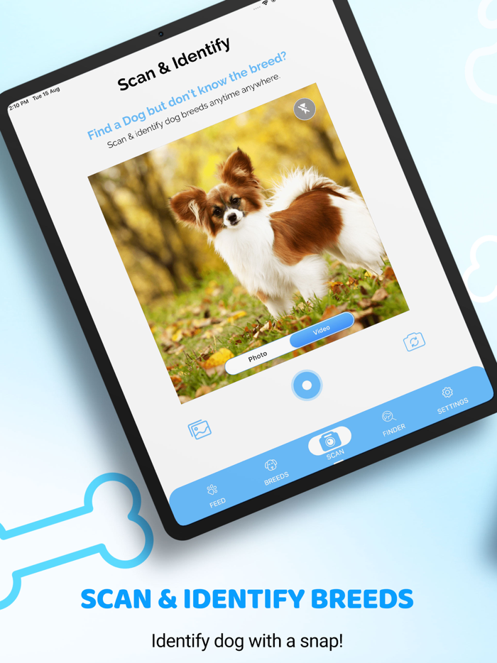 Dog Identifier AI Dog Scanner