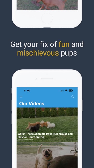 Pawfect Life - Puppy Training Screenshot
