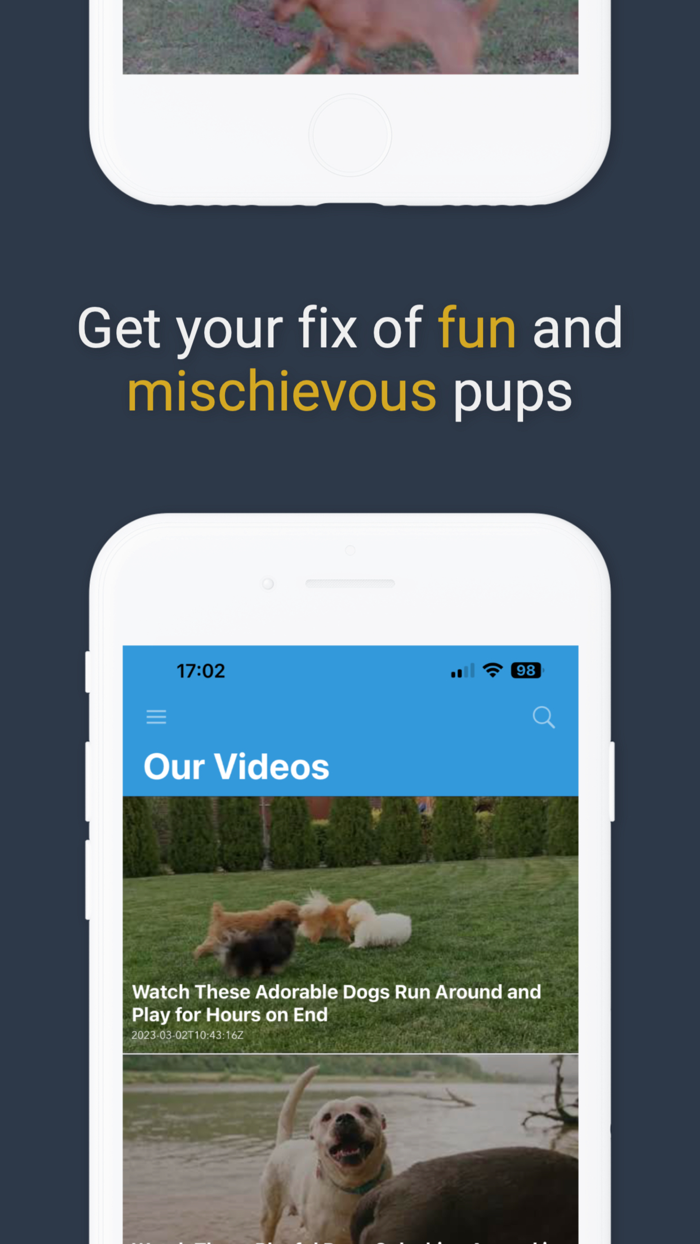 Pawfect Life - Puppy Training