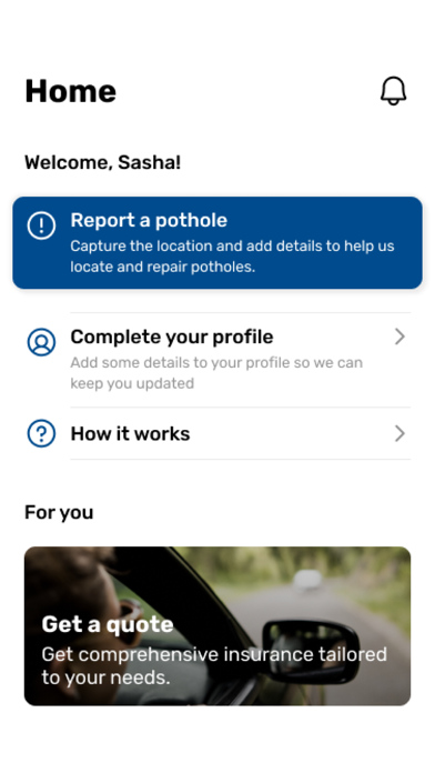 Pothole Patrol Screenshot