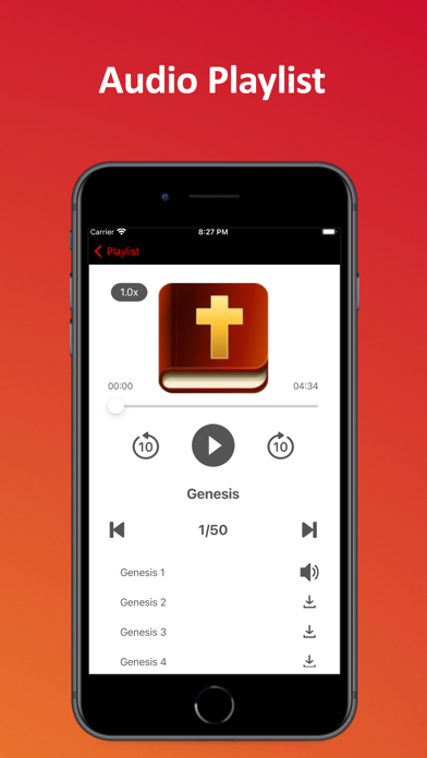 New International Bible Audio Screenshot