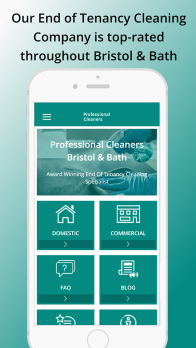Professional Cleaners Screenshot
