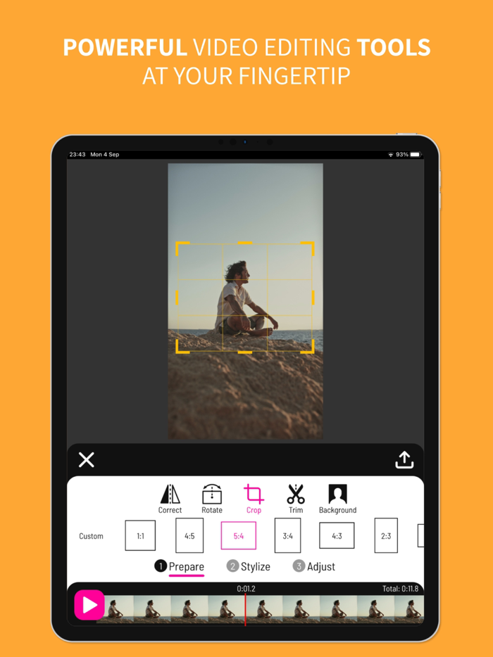 Toonita Video Pop Art Filters