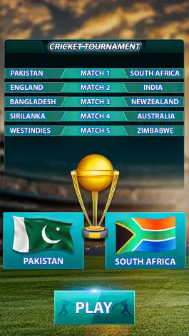 Game screenshot Play Live Cricket Game apk
