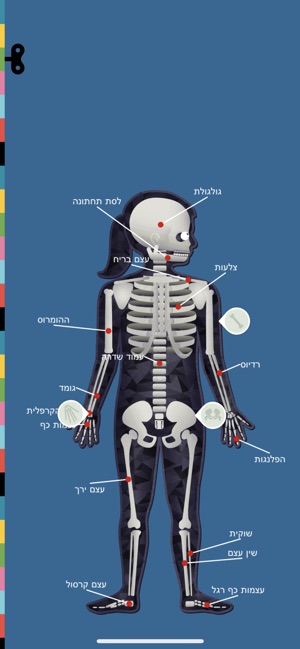 The Human Body by Tinybop ב-App Store