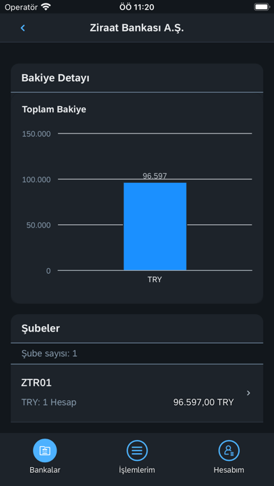 Detay e-Hesap Screenshot