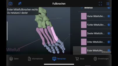 Dornheim Real Anatomy Screenshot