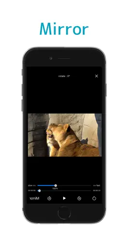 Game screenshot Motion Player - Mirror & slow apk