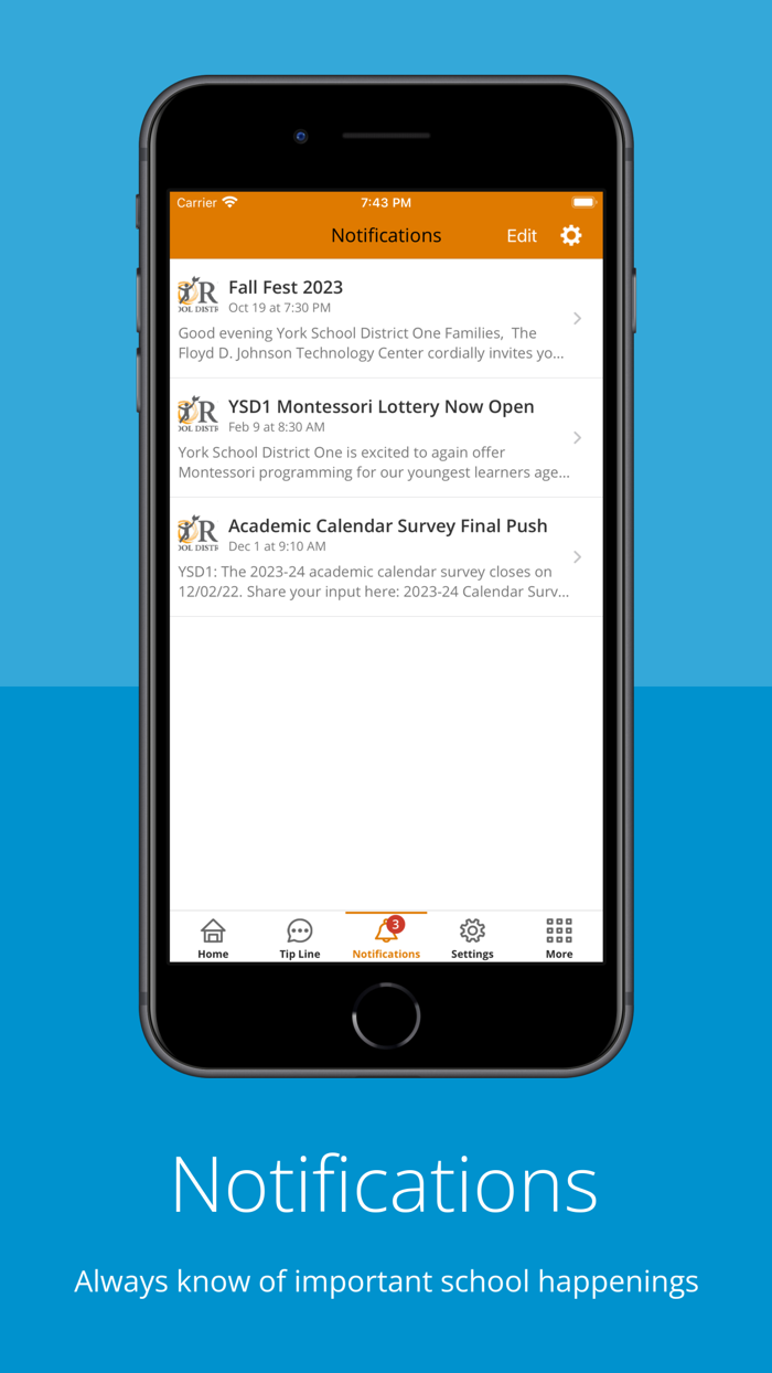 York School District 1