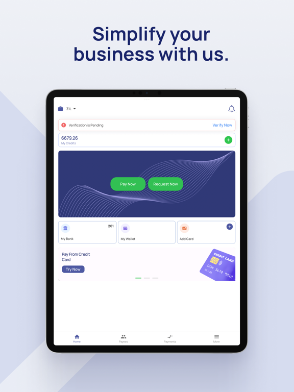 Screenshot #4 pour Online Check Writer
