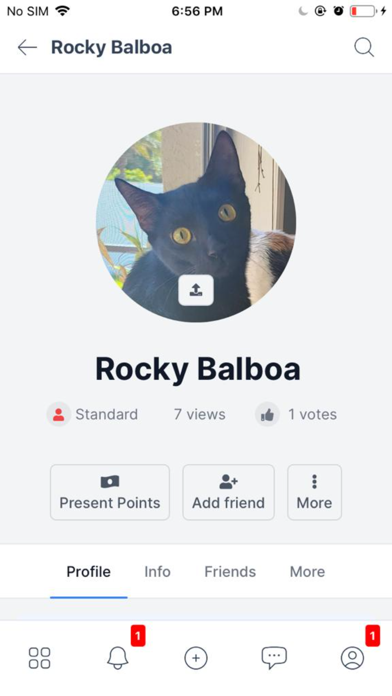 MyPetSpace Screenshot