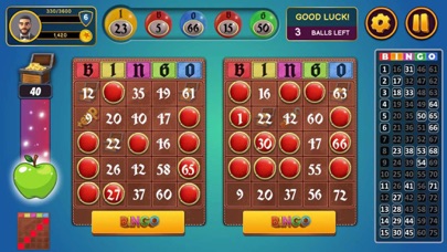 Bingo Classic! Screenshot