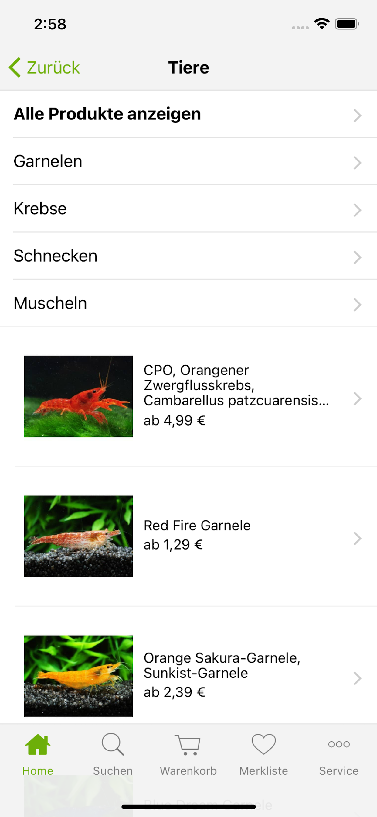 Garnelen-Guemmer