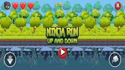 NinjaRun UpAndDown Screenshot