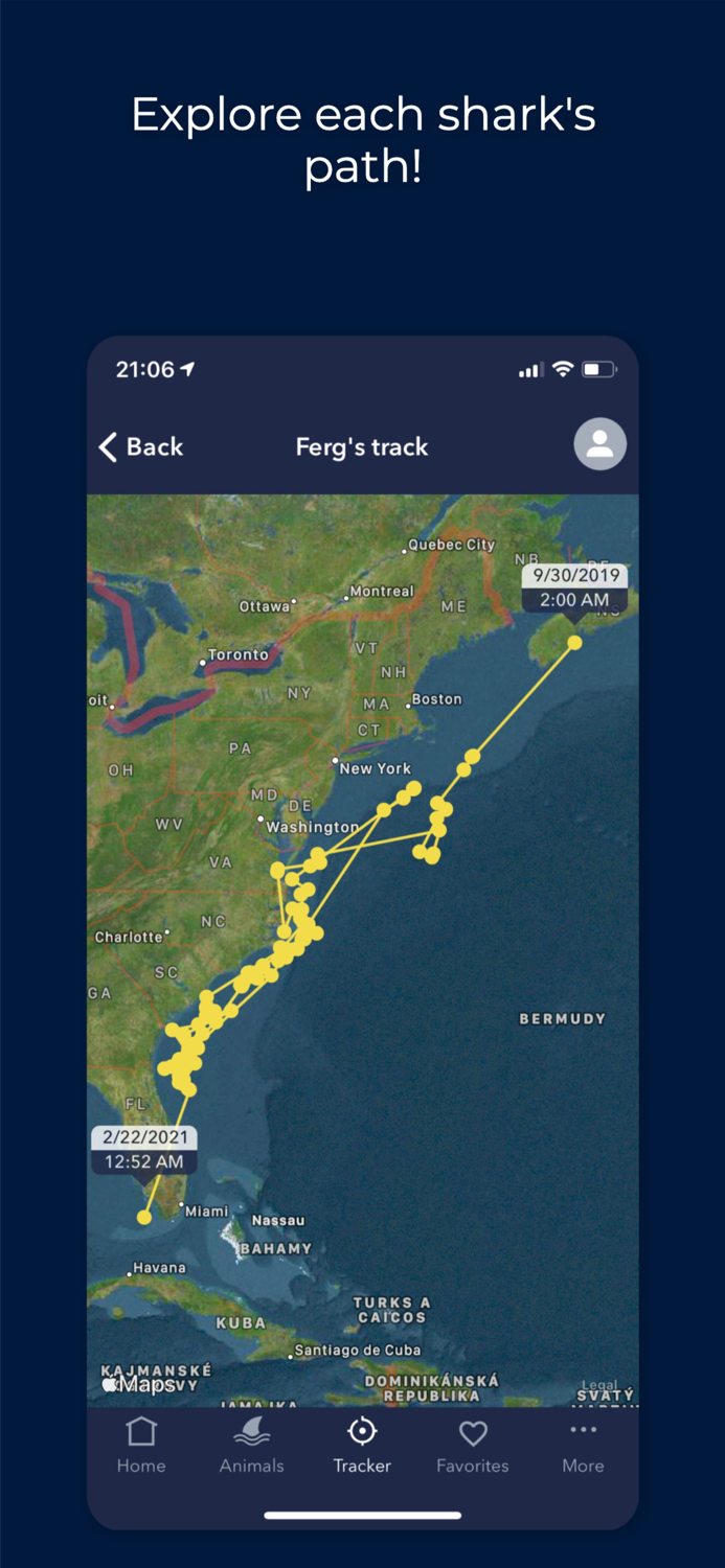 OCEARCH Shark Tracker
