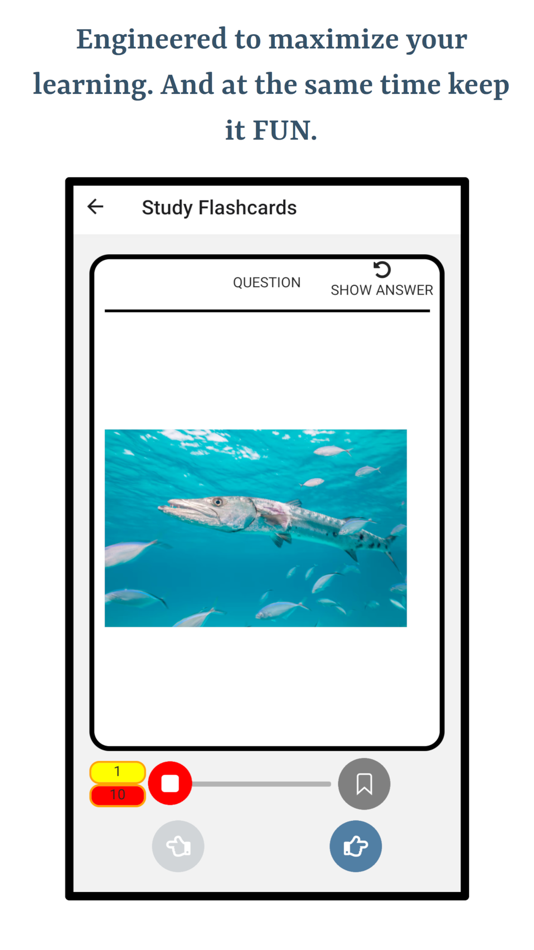 #4. Types of Fish (iOS) Podle: Ghumman Tech LLC