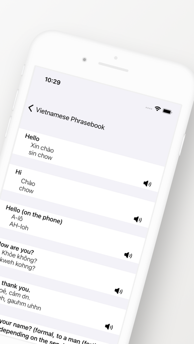 Vietnamese Phrasebook Screenshot