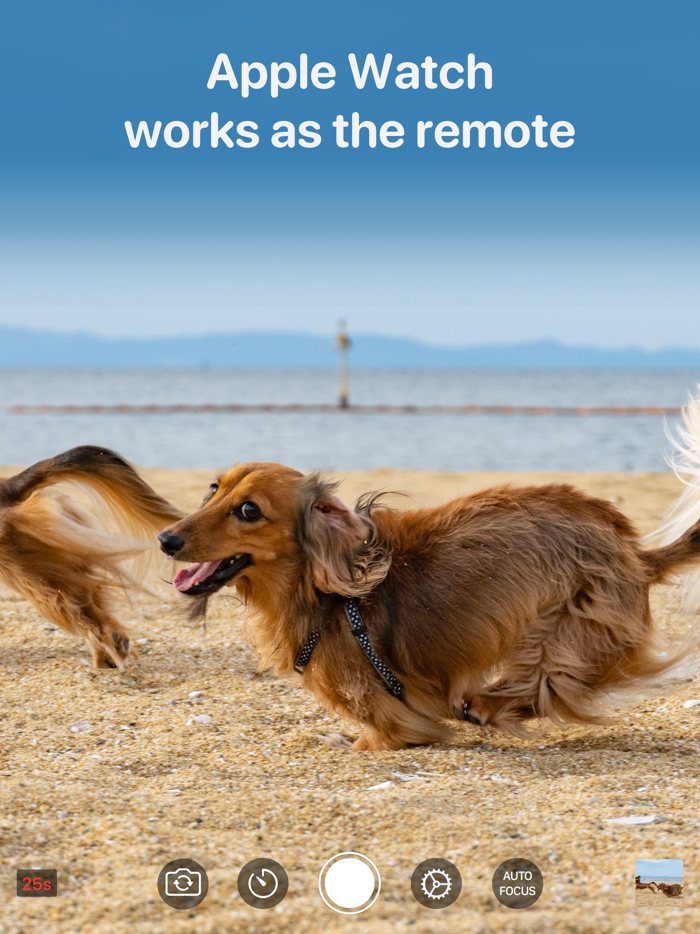 Video Buffer Action Camera PRO