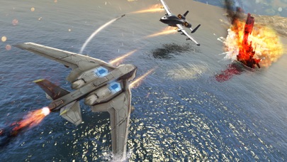 Fighter Jet : Modern Warplanes Screenshot